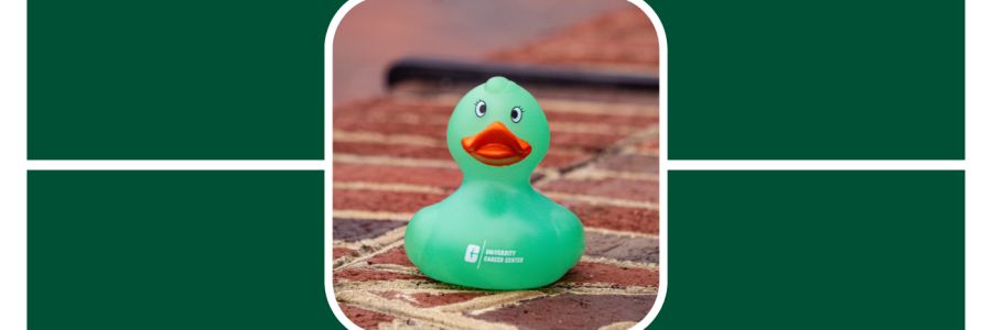 the Career Center duck is in full view sitting on some brick on unc charlotte campus