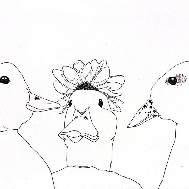 Drawing of one duck in the middle with a flower on top of its head. There is a duck on either side staring on the middle duck 