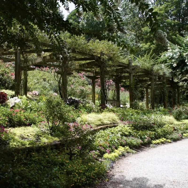 Photograph of a path in a garden