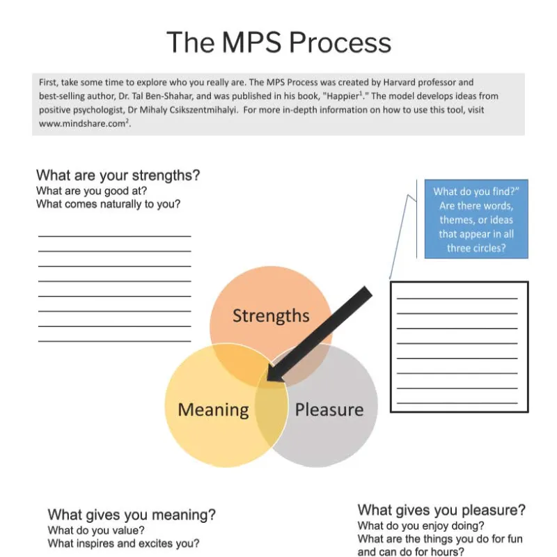 MPS Process