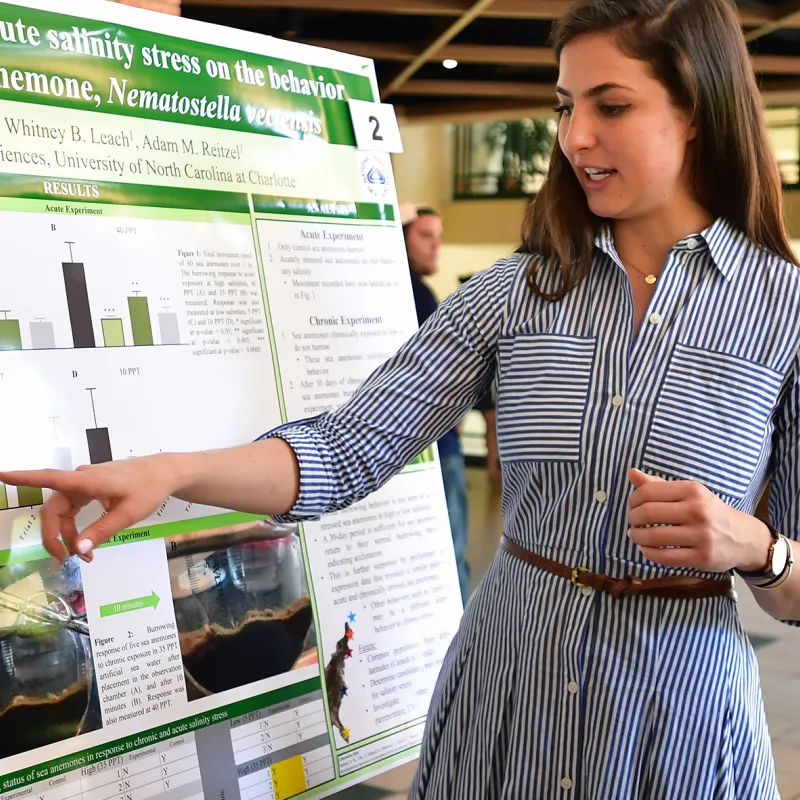 Undergraduate Research