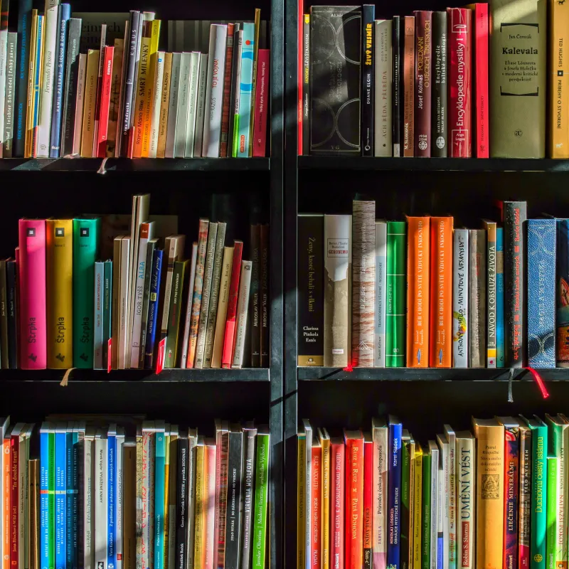 Book shelf
